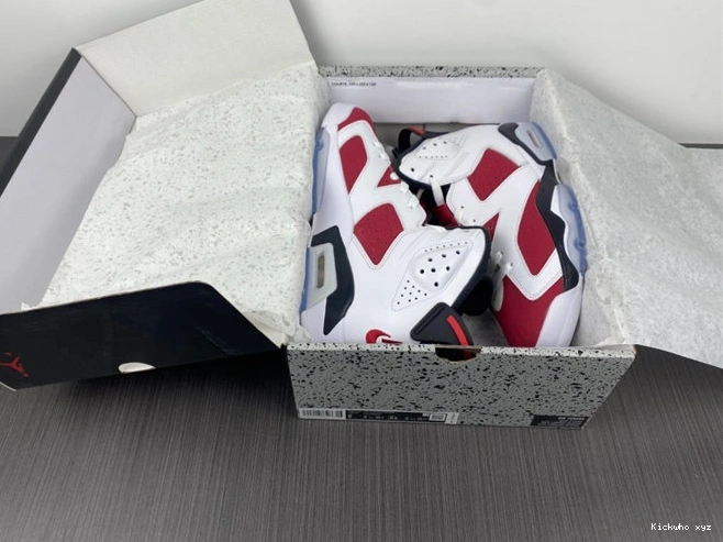 Carmine CT8529- Sleek 4032  Jordan6 1029